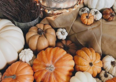 Various sized gourds on display