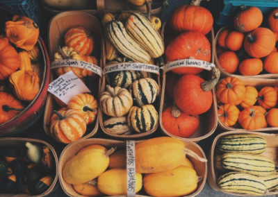 Overhead shot of various gourds for sale