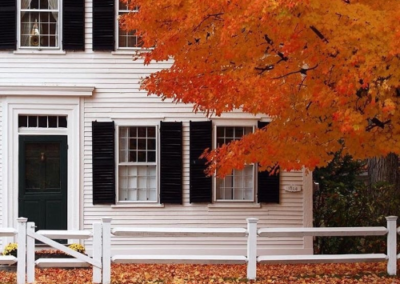 Tree with orange leaves next to white country house