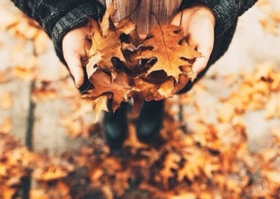 Girl holding golden brown fall leaves