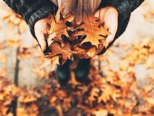 Girl holding golden brown fall leaves