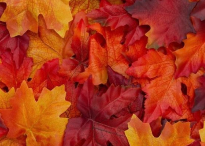 Orange, yellow and red fall leaves