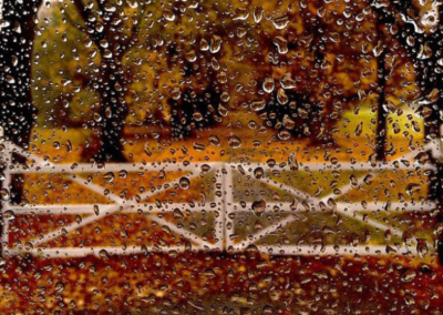 Rain on a window in fall