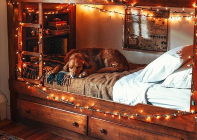Dog sleeping on a bed framed by lights