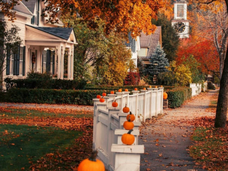 Suburban street with pumpkins on top of a white picket fence