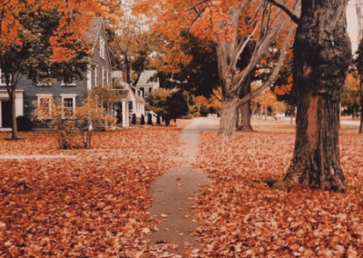 Suburban street with orange leaves on the ground